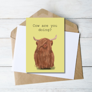 Cow are you doing?