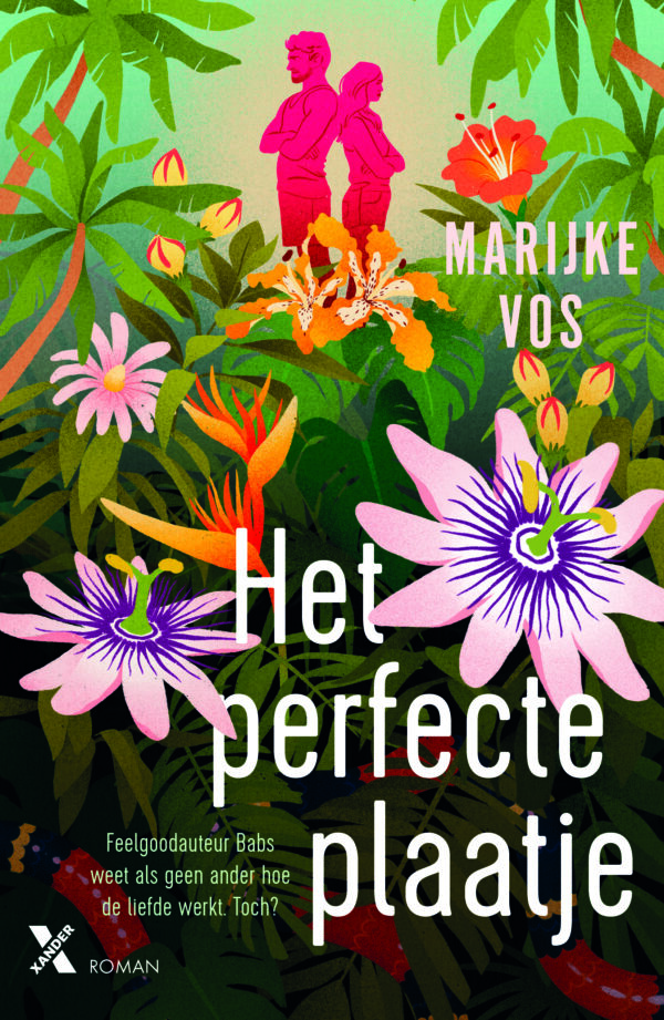 Het Perfecte Plaatje - Afbeelding 2